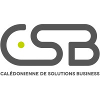 caldonienne_de solutions business